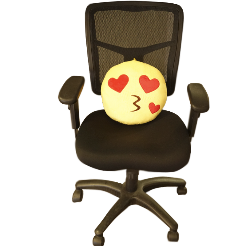 Kissing face on chair